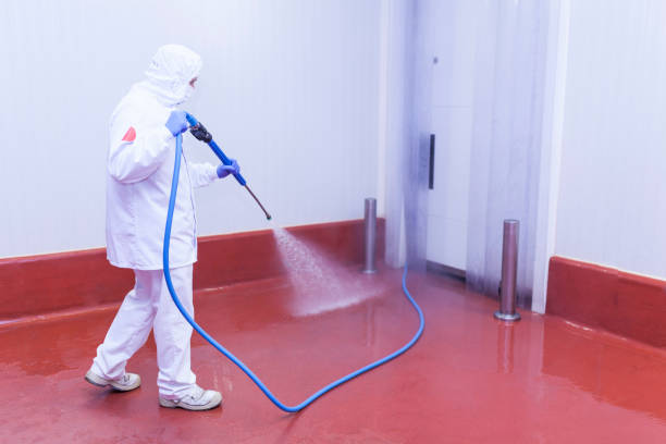 Best Restaurant Pressure Washing  in Camp Swift, TX